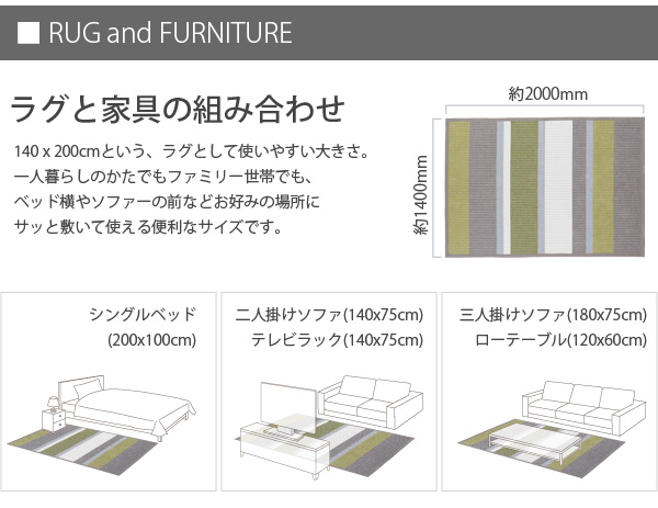 RUG and FURNITURE