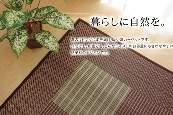 使用例9