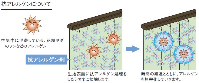 シオネ抗アレルゲン効果