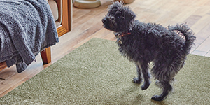 ファブリックフロア