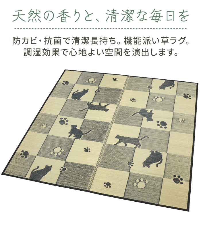 い草ラグ