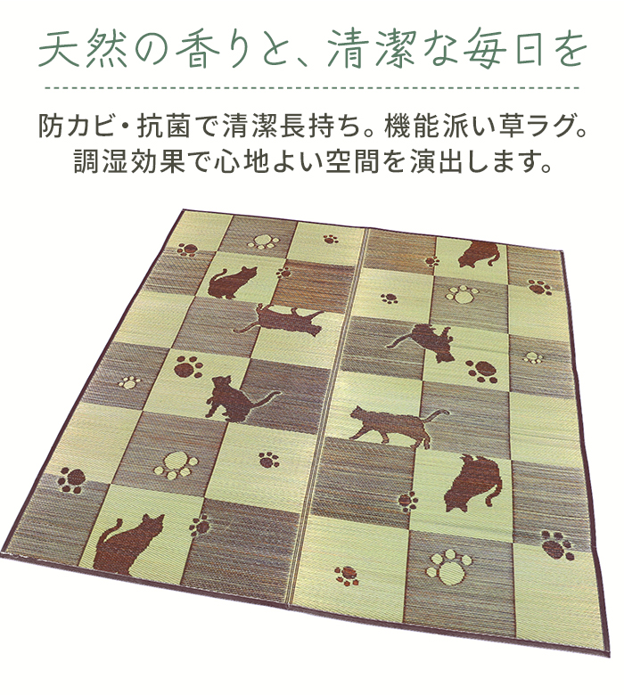 い草ラグ