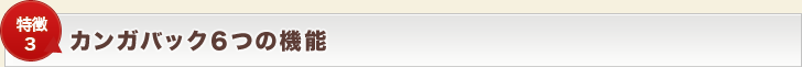 【特徴3】カンガバック6つの機能