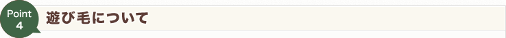 【Point4】遊び毛について