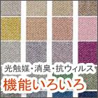 機能いろいろカーペット