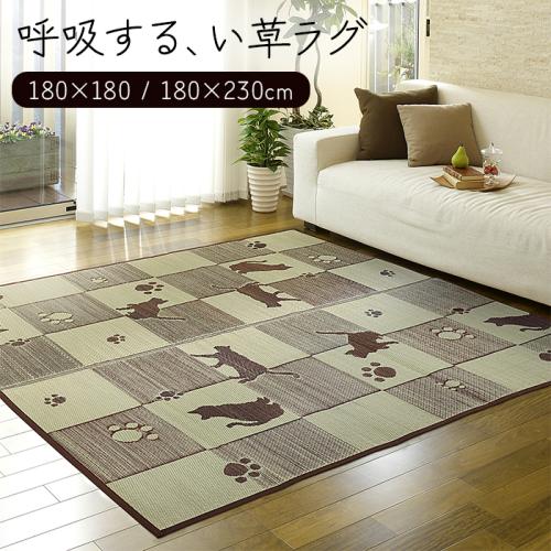 モダンなデザインのおしゃれな国産い草ラグ。和洋折衷なお部屋。